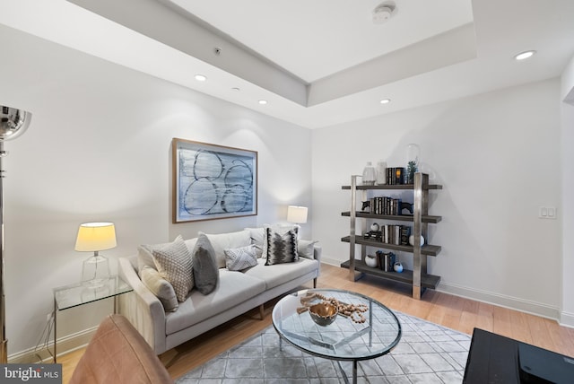 living room featuring light hardwood / wood-style floors and a raised ceiling