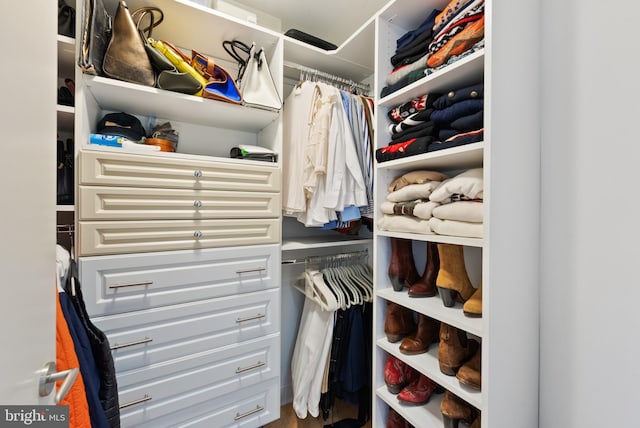 view of spacious closet