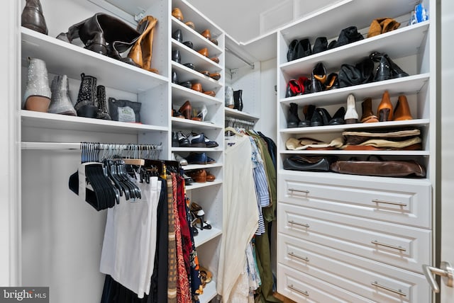 view of walk in closet