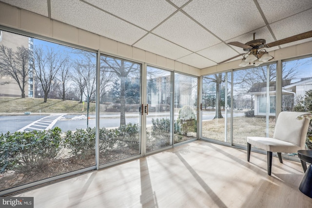 unfurnished sunroom with a paneled ceiling and a ceiling fan