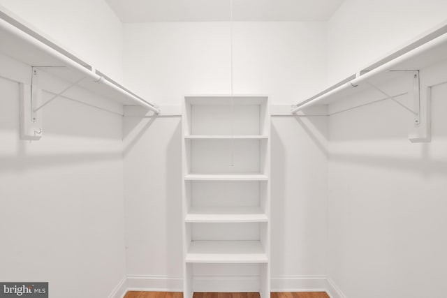 spacious closet with wood-type flooring