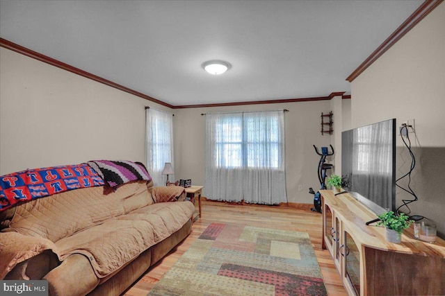 living room with light hardwood / wood-style floors and ornamental molding