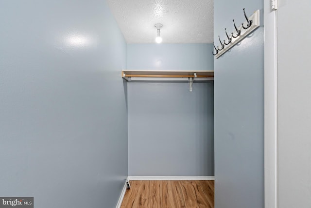 spacious closet featuring hardwood / wood-style floors