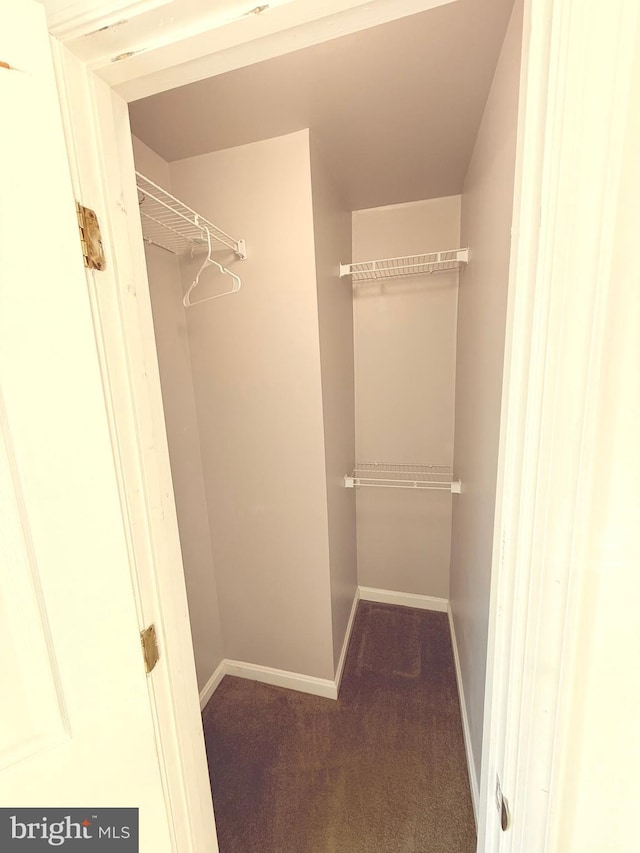 walk in closet featuring carpet