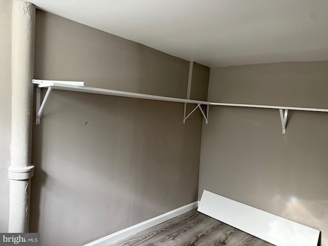 spacious closet with wood-type flooring