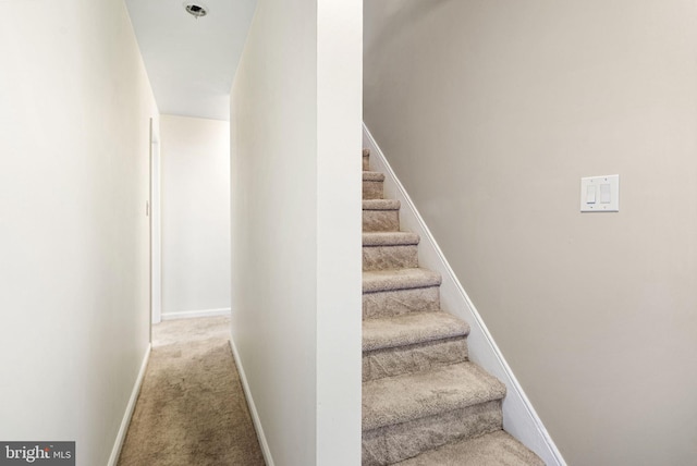 staircase featuring carpet and baseboards