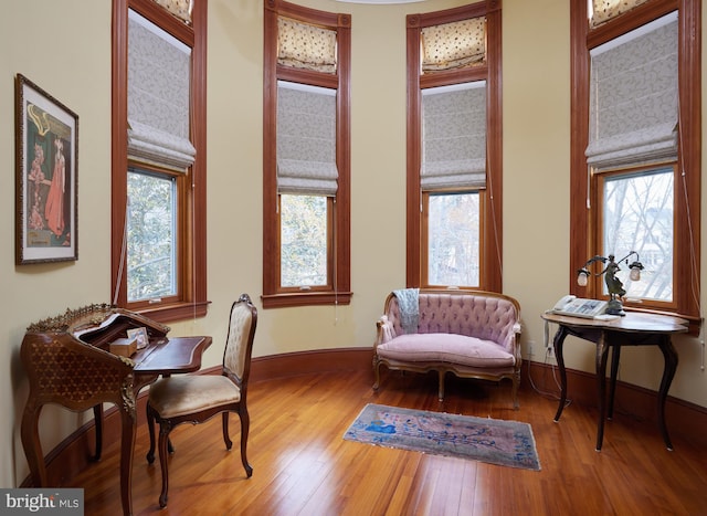 sitting room featuring hardwood / wood-style floors