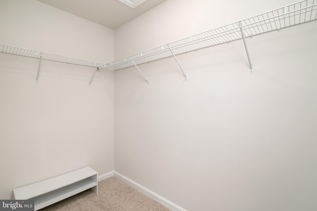 spacious closet with carpet flooring