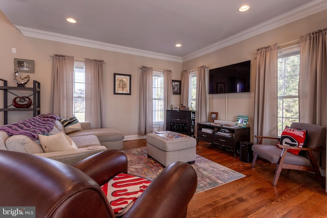 living room with hardwood / wood-style floors, plenty of natural light, and ornamental molding