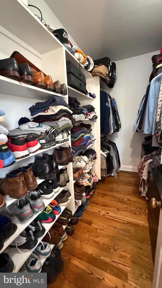 spacious closet featuring wood-type flooring