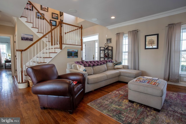 living room with dark hardwood / wood-style flooring and crown molding