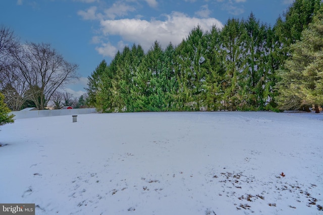 view of snowy yard