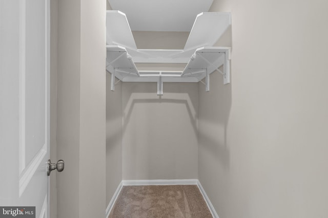 spacious closet with carpet flooring