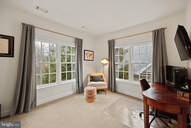 office with a healthy amount of sunlight and carpet flooring