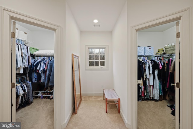 spacious closet with light carpet