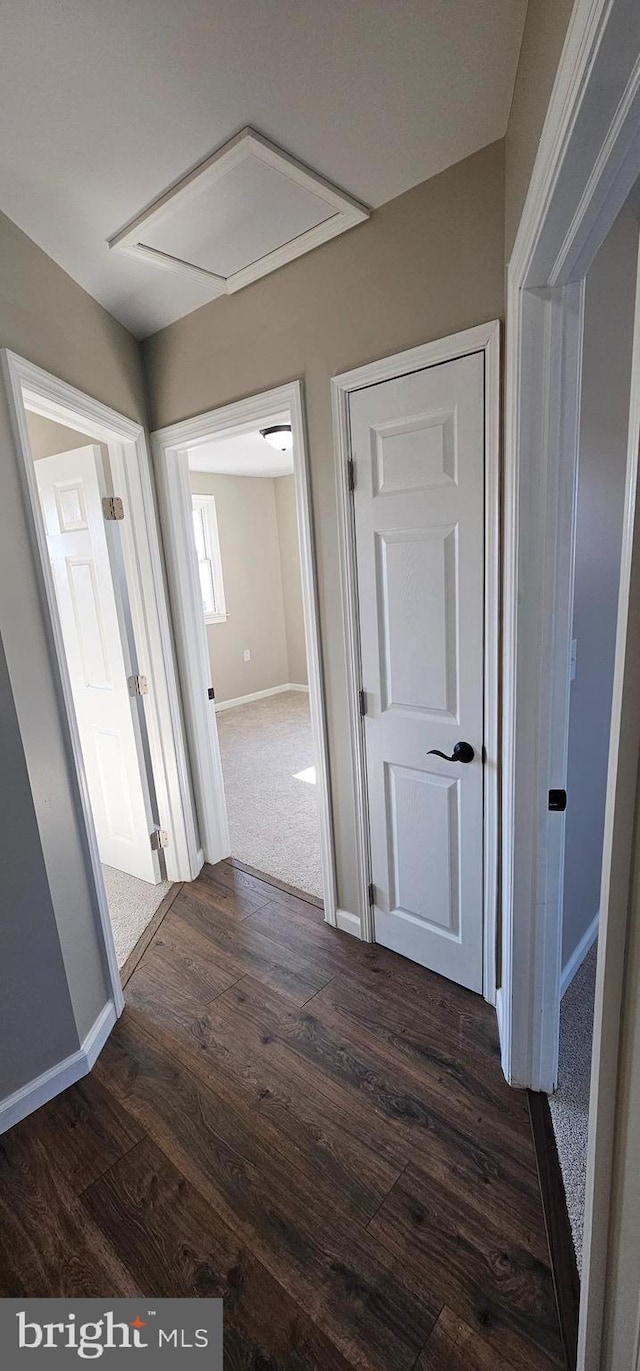 corridor with dark hardwood / wood-style flooring