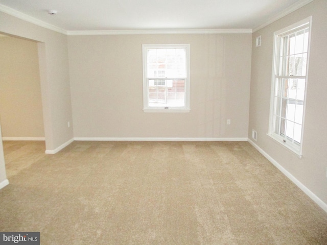 empty room with crown molding and light colored carpet