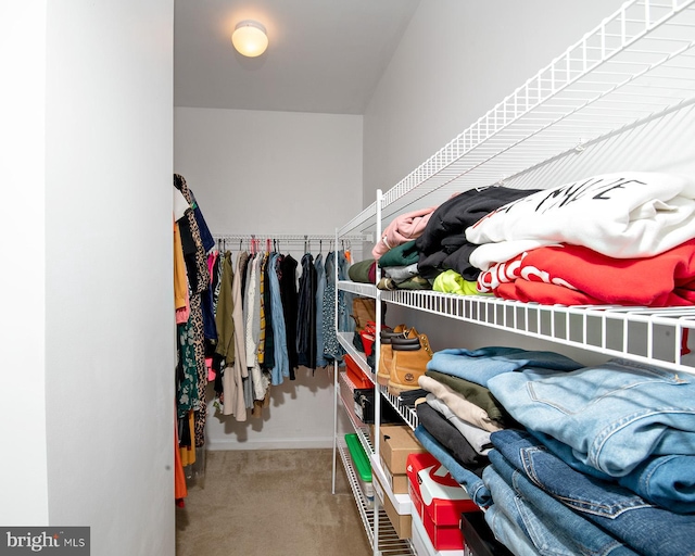 walk in closet with carpet flooring