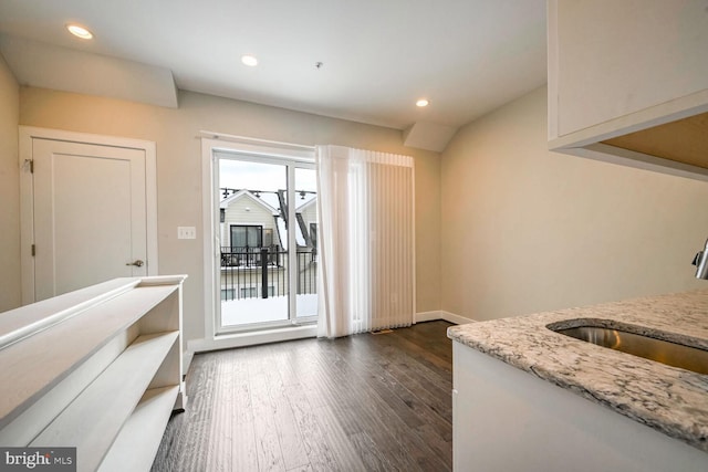 interior space featuring dark hardwood / wood-style floors, a wealth of natural light, and sink