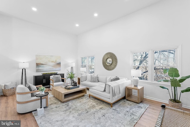 living room with hardwood / wood-style flooring and a towering ceiling