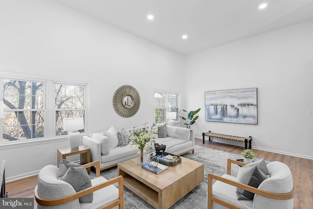 living room with light hardwood / wood-style flooring and a high ceiling