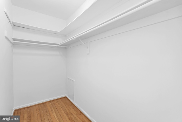 spacious closet featuring hardwood / wood-style flooring