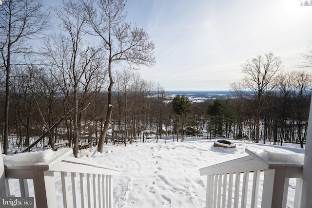 view of yard layered in snow