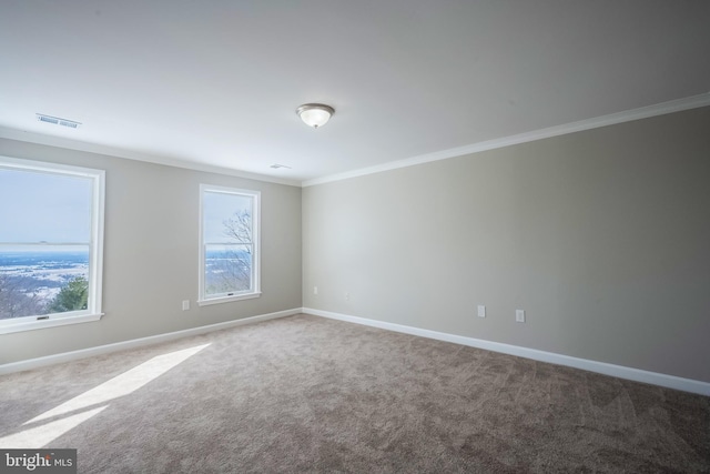 carpeted spare room featuring ornamental molding