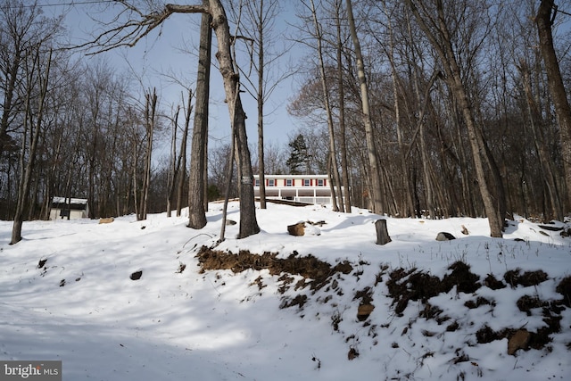 view of yard layered in snow