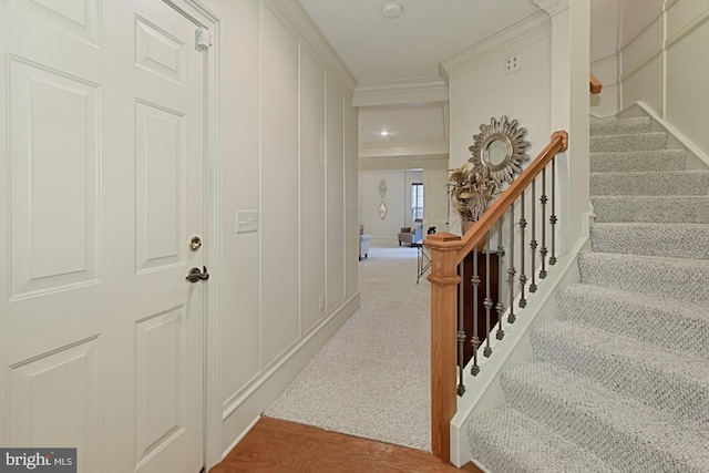 stairway featuring carpet and ornamental molding