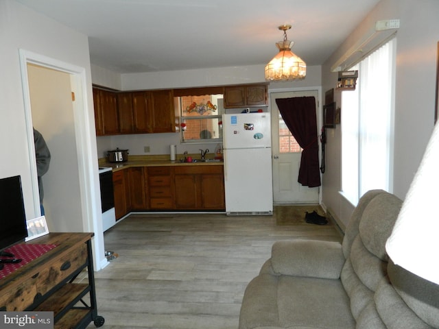 kitchen with sink, hanging light fixtures, light wood-type flooring, white fridge, and electric stove