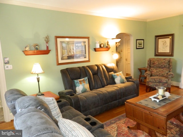 living room with crown molding and wood-type flooring