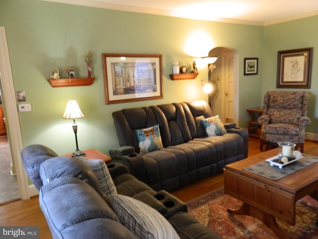 living room featuring crown molding and wood-type flooring