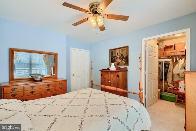 carpeted bedroom featuring a walk in closet, a closet, and ceiling fan