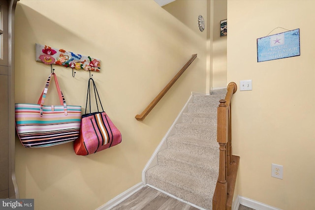 staircase featuring wood-type flooring