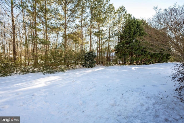 view of yard covered in snow