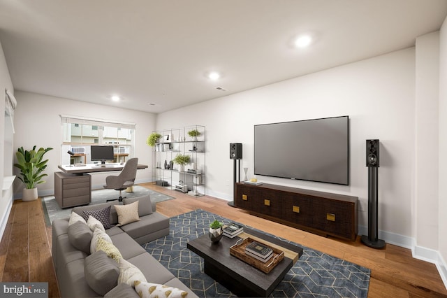 living room featuring hardwood / wood-style flooring