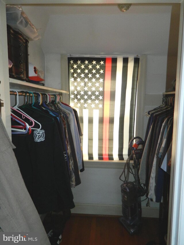 spacious closet with wood-type flooring