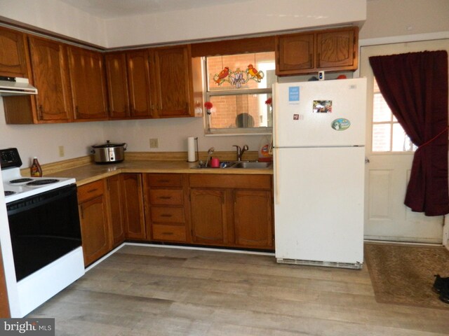 kitchen featuring white refrigerator, light wood-type flooring, sink, and electric range