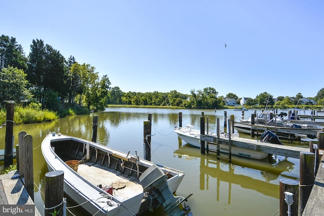 dock area with a water view