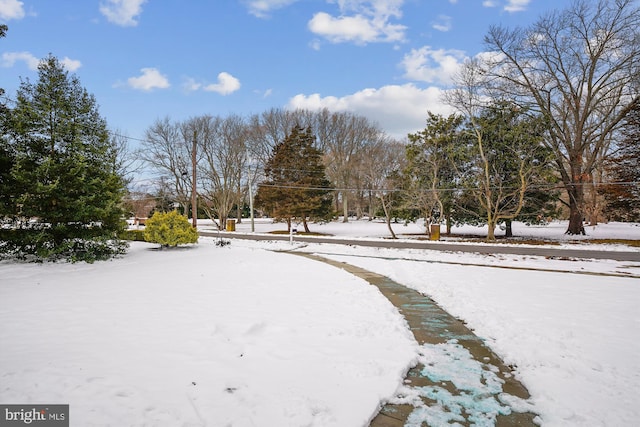 view of snowy yard