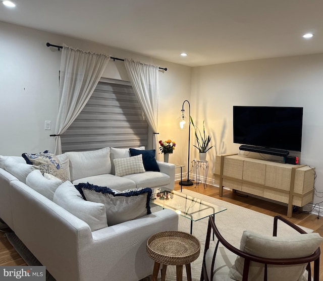 living room with wood-type flooring