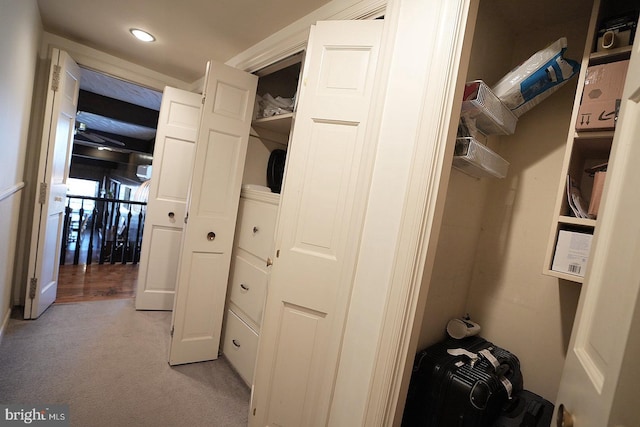 view of closet