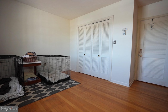 bedroom featuring wood-type flooring and a closet