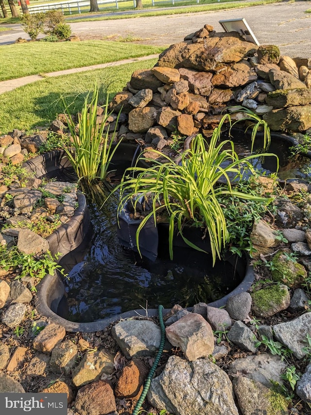 details featuring a small pond