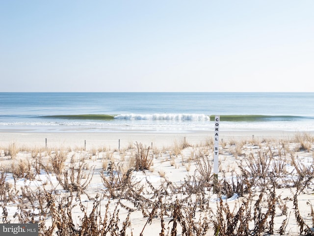 water view featuring a beach view