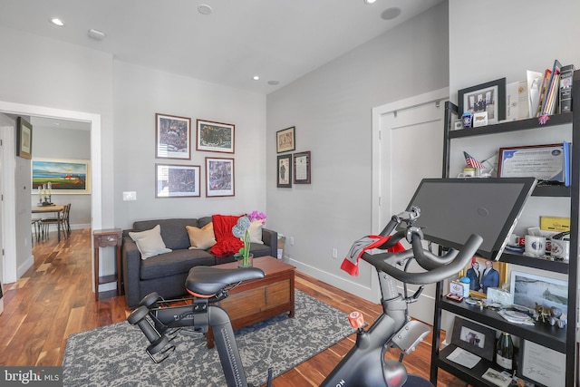 living room featuring wood-type flooring