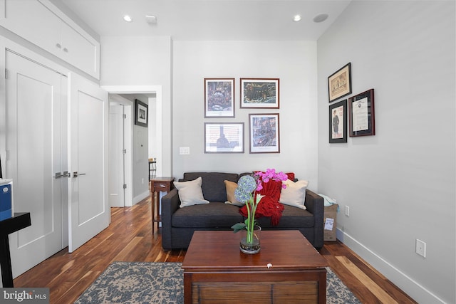 living room featuring dark wood-type flooring