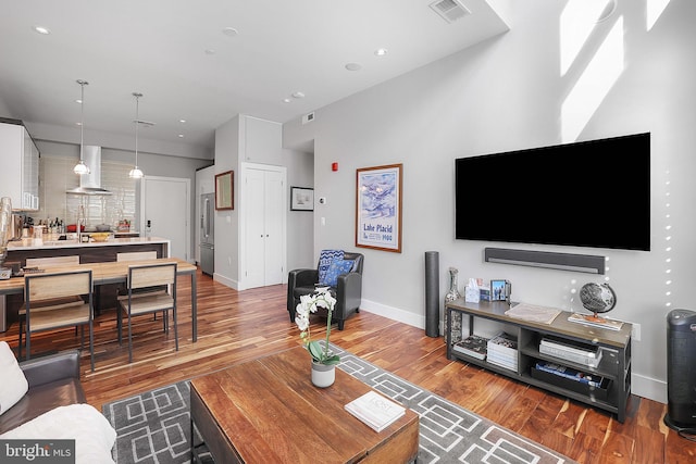 living room featuring hardwood / wood-style floors and sink