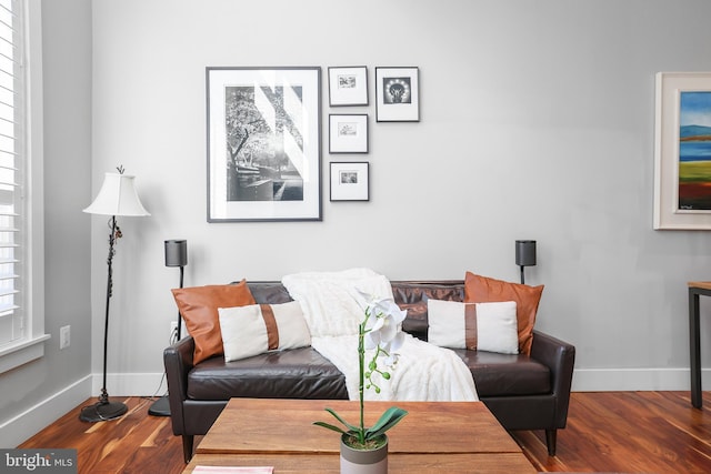 living room featuring dark hardwood / wood-style floors